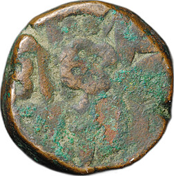 Монета 1 дам 1556 - 1605 Акбар  Империя Великих Моголов, Индия
