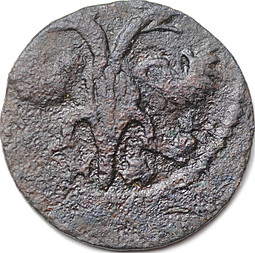 Монета Полушка 1720 НД славянская дата АѰК
