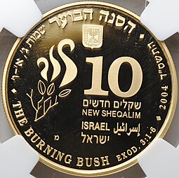 Монета 10 новых шекелей 2004 Неопалимая купина Израиль