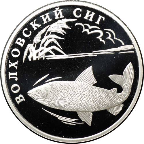 Монета 1 рубль 2005 СПМД Красная книга - Волховский Сиг
