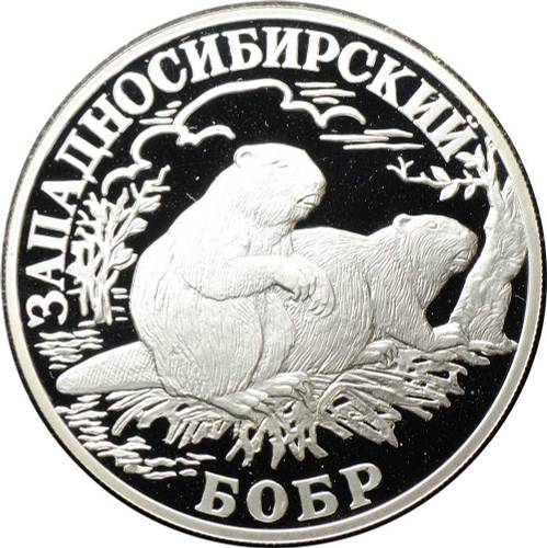 Монета 1 рубль 2001 СПМД Красная книга - Западносибирский бобр