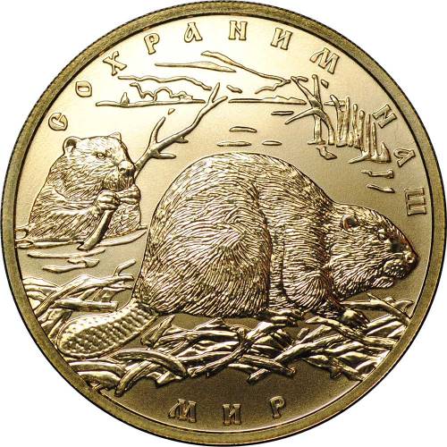 Монета 100 рублей 2008 СПМД Сохраним наш мир Речной Бобр золото 900