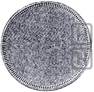Монета 25 копеек 1858 СПБ ФБ Пробные