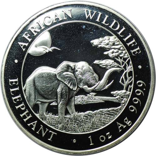 Монета 100 шиллингов 2019 Слон Сомали