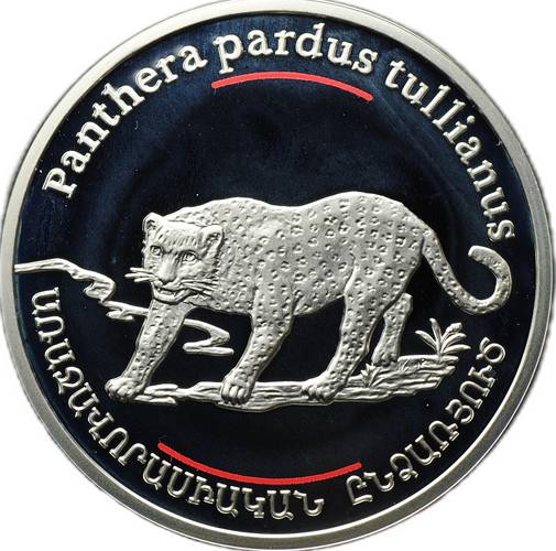 Монета 100 драм 2007 Переднеазиатский леопард (пантера) Армения