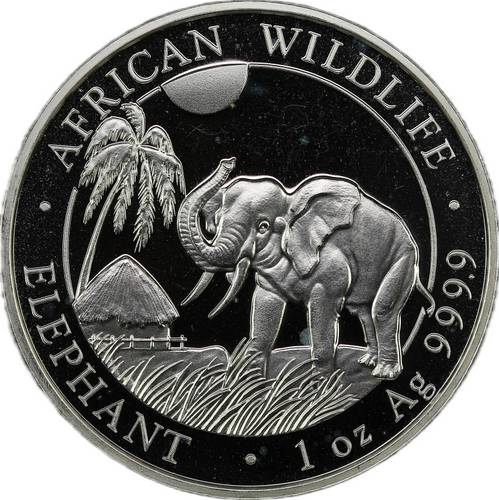 Монета 100 шиллингов 2017 Фауна Африки - Африканский слон Сомали
