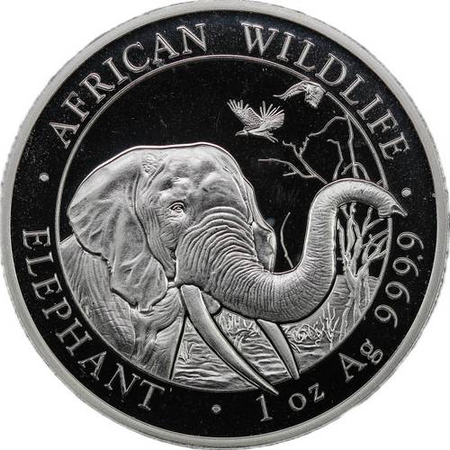 Монета 100 шиллингов 2018 Фауна Африки - Африканский слон Сомали