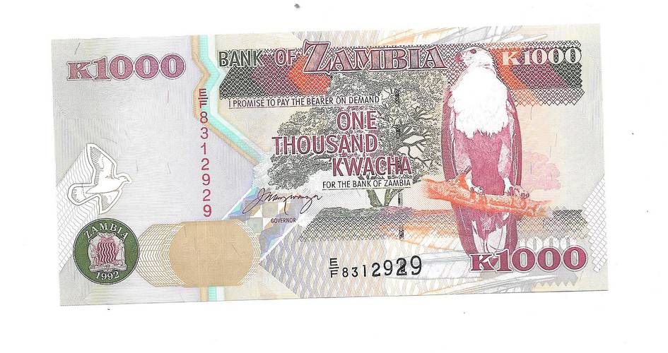 Банкнота 1000 квача 1992 Замбия