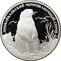 Монета 2 рубля 2008 СПМД Красная книга - Прибайкальский черношапочный сурок