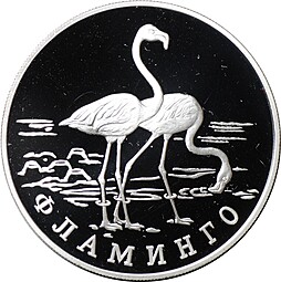 Монета 1 рубль 1997 ЛМД Красная книга - Фламинго