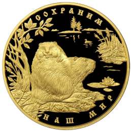 Монета 10000 рублей 2008 ММД Сохраним наш мир. Речной бобр