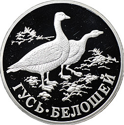 Монета 1 рубль 1998 СПМД Красная книга - Гусь-белошей