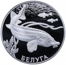 Монета 2 рубля 2019 СПМД Красная книга - Белуга