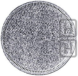 Монета Полтина 1858 СПБ ФБ Пробная