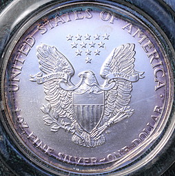 Монета 1 доллар 2000 Шагающая свобода США