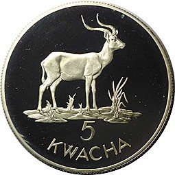 Монета 5 квач 1979 Личи Антилопа Замбия