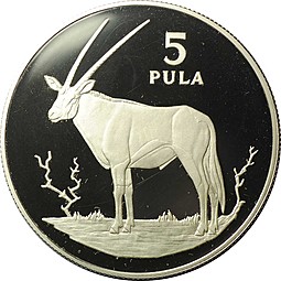 Монета 5 пул 1978 Орикс Ботсвана