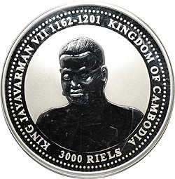 Монета 3000 риелей 2006 Ньюфаундленд Год собаки Камбоджа