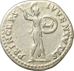 Монета Денарий 80 Домициан Цезарь (69-81) Минерва Римская Империя