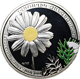 Монета 1000 драм 2010 Растения - Пижма зангезурская (ромашка) Армения