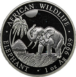 Монета 100 шиллингов 2017 Фауна Африки - Африканский слон Сомали