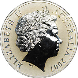 Монета 1 доллар 2007 Кенгуру с малышом Австралия