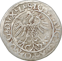 Монета 1/2 гроша 1560 Литва