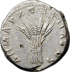 Монета Тридрахма 112 - 114 Траян Сноп колосьев, Аравия Петрейская Римская Империя