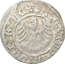 Монета 1/2 гроша 1501 - 1506 Александр Ягеллончик Корона Польша