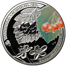 Монета 1000 драмов 2011 Армянская рябина Армения